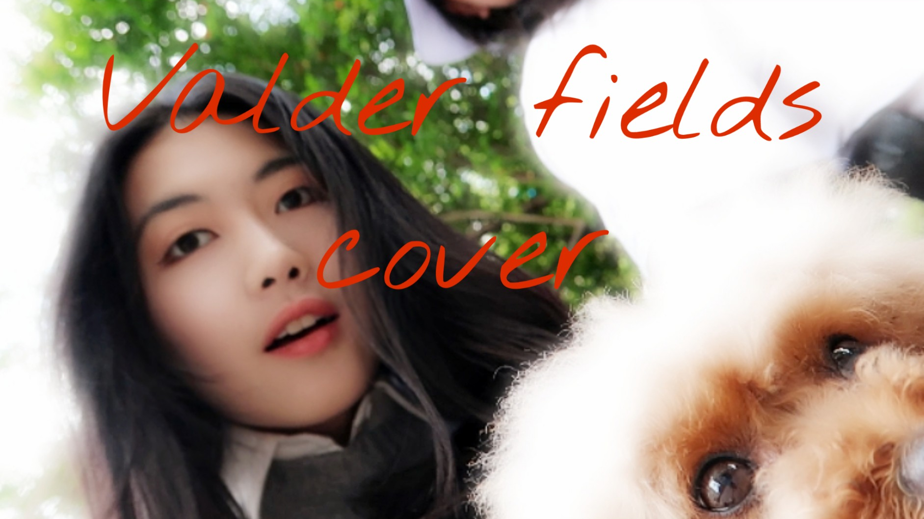 Valder fields翻唱|一点四月生活片段